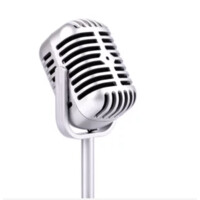 The Aussie Voice Logo