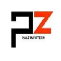 PALZ INFOTECH Logo