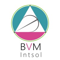 BVM Intsol Logo