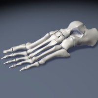 Dr Damien Lafferty Logo