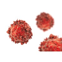 Calli Biotech Logo