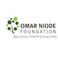 Omar Niode Foundation Logo