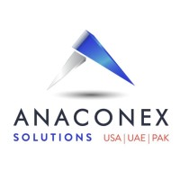 AnaConEx Solutions LLC. Logo
