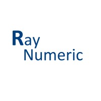 RAYNUMERIC Simulation & Technologies LLP Logo