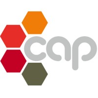 Capital Advisory Partners Pty Ltd Logo
