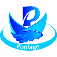 Pontage Staffing India Pvt. Ltd. Logo