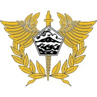 Direktorat Jenderal Bea dan Cukai Logo