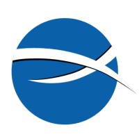 NicheSoft Solutions Inc Logo