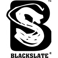 Blackslate Holdings Group Limited Logo