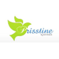 Prisstine Systems Logo