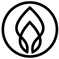 Skin Project Logo