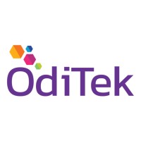 OdiTek Solutions Logo