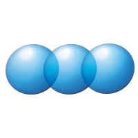 Platinum Physio Logo