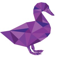 Duck On Water - Web Designers Logo