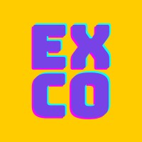 The Experience Co. Logo