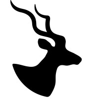 VidarDB Logo