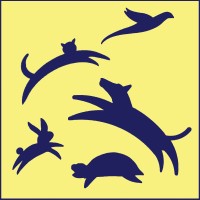 Brook-Falls Veterinary Hospital & Exotic Care, Inc. Logo
