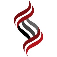 Synergy Placements Logo