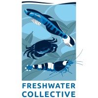 Freshwater Collective Logo