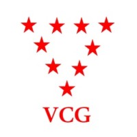 VCG Consulting Group Logo