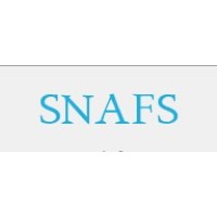S N Accounting & Financial Services Logo