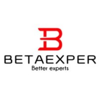 BetaExper Business Consulting Logo