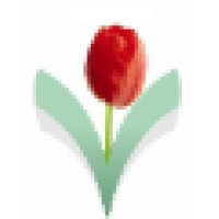 Tulipsvapi Financials & Services Logo