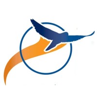 Oriole Consulting Logo