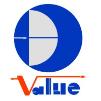 The Digital Value, Ltd. Logo