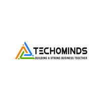 TechoMinds Pvt Ltd Logo