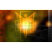 The American Institute of Health Care Professionals, Inc. Logo