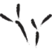 The Blackbird Academy Logo