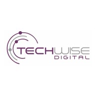 TechWise Digital Logo