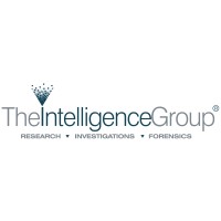 The Intelligence Group LLC Logo