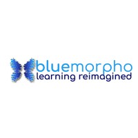 Bluemorpho Learning Solutions PVT. LTD. Logo