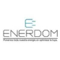 ENERDOM Consulting Logo