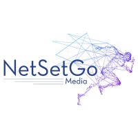 NetSetGo Media Pvt. Ltd. Logo