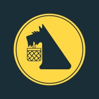 Netto Polska, Salling Group Logo