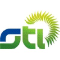 STI Professional Services Logo