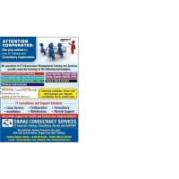 M/s Sairag Consultancy Services Logo