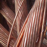 Hebei Shunxu Metal Products Co.,Ltd. Logo