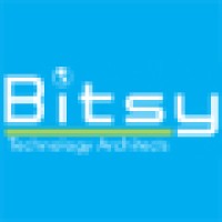 Bitsy Infotech Pvt. Ltd. Logo