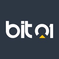 Bit01 Techplode Private Limited Logo