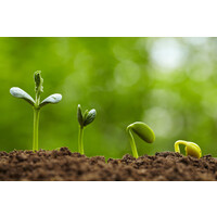 SeedSmart Logo