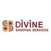 Divine Shipping Services Logo