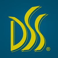 DSS SISTEMAS DE SEGURANÇA LTDA Logo
