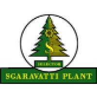 Sgaravatti Plant S.r.L. Logo
