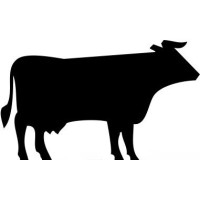 Black Jersey Consulting Logo