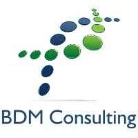 BDM Consulting Services, LLC Logo