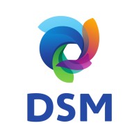 DSM Logo